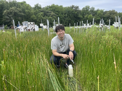 Man wearing glasses and a short sleeve shirt crouches down a field of tall green grass.