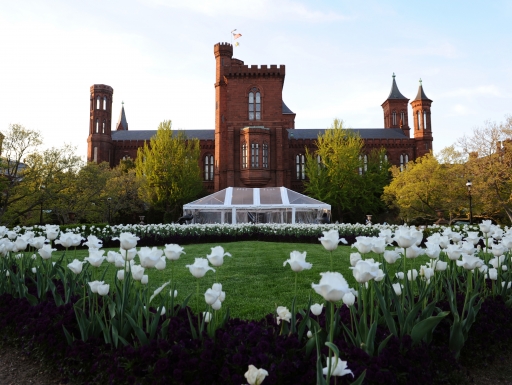 Smithsonian Building with tulips.